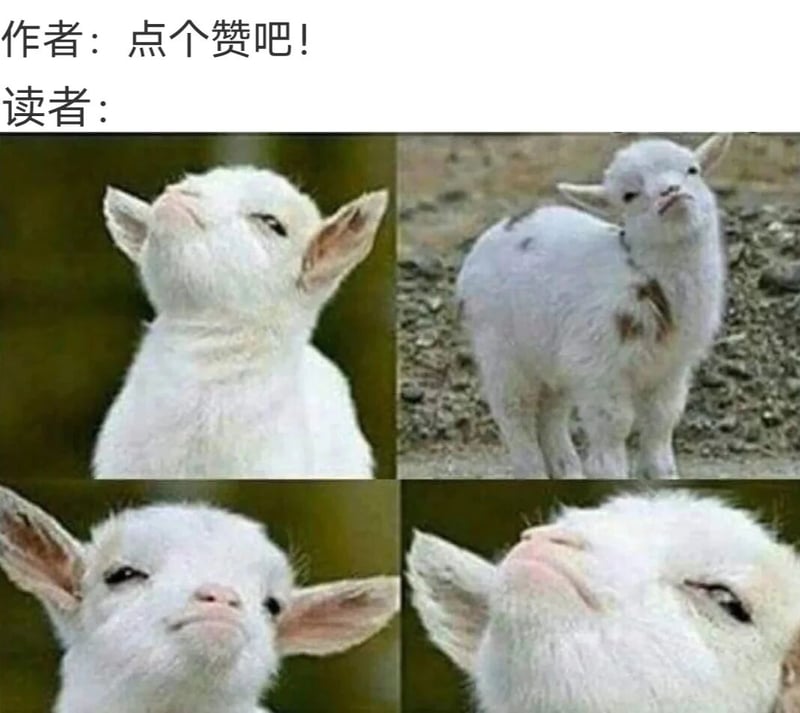 小羊