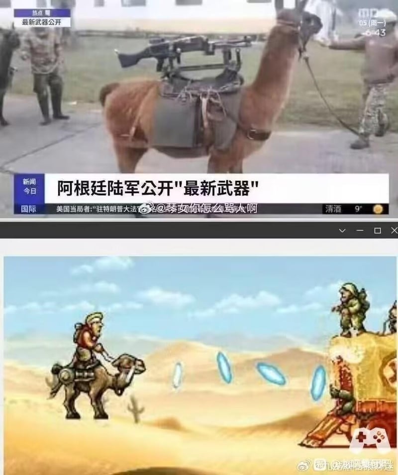 游戏画面