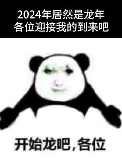 图片上方为黑色背景白色文字“2024年居然是龙年 各位迎接我的到来吧”，中间是一个经典熊猫头表情包形象，面部被替换为略带诡异的人类五官，表情平静，下方白色背景黑色文字“开始龙吧,各位”。整体风格为网络流行的图文结合表情包，用于调侃2024龙年的到来。
