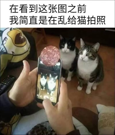 这是一张顶部配文、下方为实拍场景的趣味梗图，顶部文字为“在看到这张图之前我简直是在乱给猫拍照”。下方实景中，一双手正举着手机对准面前的两只猫咪拍摄，拍摄者在手机上方举了一片圆形的萨拉米香肠，吸引两只猫咪的注意力，两只猫咪都端正坐着、视线集中看向香肠的方向，刚好正对手机镜头，手机屏幕里呈现出两只猫咪看镜头的完美正脸照，生动展示了给猫咪拍出规整正脸照的小技巧，内容搞笑又具有实用性，容易引发养宠人群的共鸣。