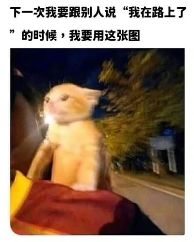 一张幽默的猫咪表情包，图中橘猫坐在移动的车辆中，配上文字'下一次我要跟别人说'我在路上了'的时候，我要用这张图'，用来调侃人们常说'在路上'但可能进展缓慢的情况。