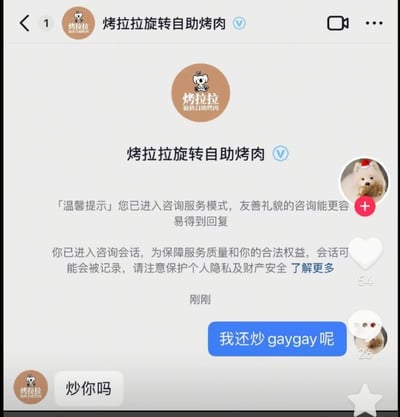 社交媒体截图展示了与“烤拉拉旋转自助烤肉”官方账号的聊天界面。系统提示用户已进入咨询服务模式，需友善礼貌咨询。用户先后发送“炒你吗”和“我还炒gaygay呢”的消息，形成调侃对话。界面包含官方账号头像、名称及系统提示文本。