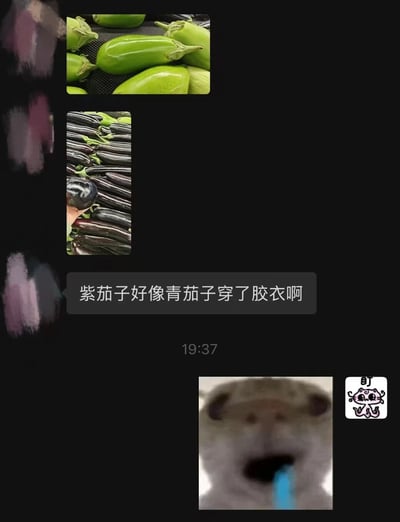 图片由多部分拼贴组成：上方左侧为新鲜青茄子的实拍图，右侧是紫茄子的堆叠照片，中间用灰色对话框标注文字‘紫茄子好像青茄子穿了胶衣啊’，将紫茄子的深色外皮幽默比作绿色茄子穿上紧身胶衣的视觉效果。底部右侧配有一张模糊的仓鼠（或类似啮齿动物）张嘴表情图，旁边还有一个简约线条风格的卡通‘盯’字图标，整体通过食物与动物表情的混搭营造出无厘头笑点。

双关/暗示：利用‘胶衣’的紧身、亮色（此处反讽紫茄的深色）特性，形成对两种茄子颜色差异的拟人化联想，属于生活化的幽默观察。