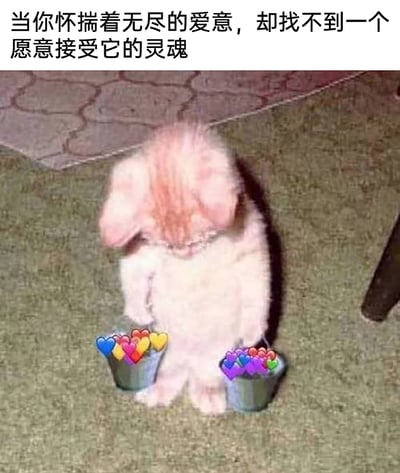 这是一张经过后期加工的萌宠表情包，主体是一只橘白相间的小猫，它低着头，两只前爪分别提着一个装满彩色爱心贴纸的小桶，垂头站立在带有纹理的地毯上，姿态看起来十分低落委屈。图片上方配有文字“当你怀揣着无尽的爱意，却找不到一个愿意接受它的灵魂”，用小猫落寞的姿态和满桶代表爱意的爱心形成强烈反差，生动地传递出自己满腔爱意无处投递、无人回应的孤单失落情绪，这种将细腻情感寄托在萌宠身上的方式，很容易让有类似情感经历的人产生强烈共鸣。