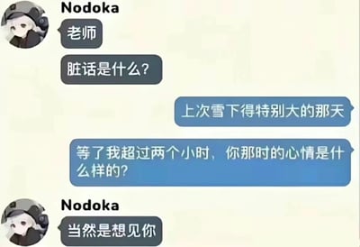 这是一张模拟聊天记录的梗图，展示了角色Nodoka与老师的对话。Nodoka先问"脏话是什么?"，老师没有直接回答，而是反问："上次雪下得特别大的那天，等了我超过两个小时，你那时的心情是什么样的?"，Nodoka回答"当然是想见你"。图片通过这种反差制造幽默效果，原本可能引出负面情绪的等待经历，却得到了甜蜜的回答。