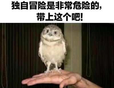 这是一张兼具治愈感与趣味性的梗图，画面上方配有黑色加粗的醒目文字“独自冒险是非常危险的，带上这个吧！”，下方是真实拍摄的场景：一只体型迷你的小猫头鹰睁着圆溜溜的大眼睛，一脸懵懂无辜地安静站在人的手掌心。小猫头鹰的小巧体型和人类手掌形成了强烈的反差萌，搭配文字营造出一种反差感——看似要为冒险提供助力的“伙伴”是这只毫无威慑力的萌物，既可爱又搞笑，传递出轻松治愈的氛围，适合用来调侃冒险的话题，或是表达想要萌宠陪伴的心情。