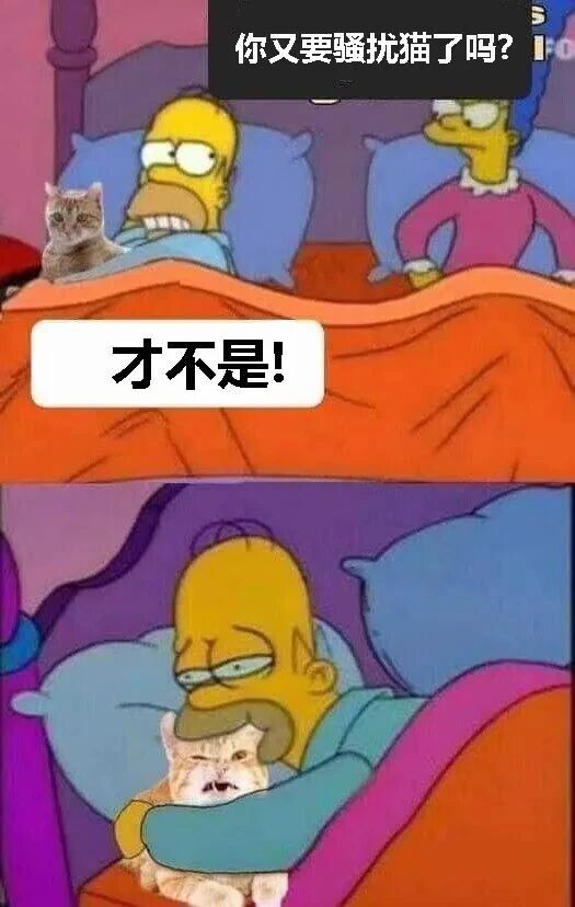 Homer Simpson