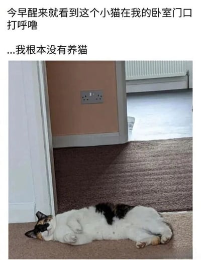 图片上方有文字说明：'今早醒来就看到这个小猫在我的卧室门口打呼噜...我根本没有养猫'。图片主体是一只黑白棕三色的小猫四仰八叉地躺在卧室门口的地毯上，似乎正在熟睡。这种'突然出现的陌生猫咪'的情景制造了一种幽默又略带诡异的氛围。