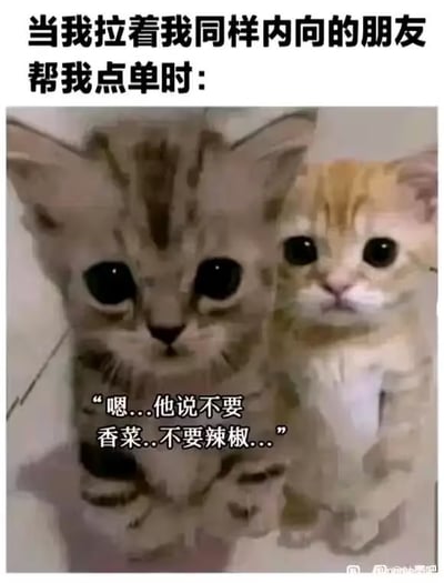 这张梗图上有两只站立的猫咪，表情呆萌、眼神中透露着紧张和不安。配文表达了一种日常场景：社恐/内向的人让同样内向的朋友帮忙点单时的窘态。猫咪的表情和对话将这种内向、犹豫、小心翼翼的情绪拟人化，画面搞笑又可爱，极易引发年轻人的共鸣。

图中文字“嗯…他说不要香菜…不要辣椒…”表达了带点结巴、局促回应点餐要求的尴尬与小心，是对社恐人群处境的幽默夸张展现。无双关谐音梗，属表情情境类梗。