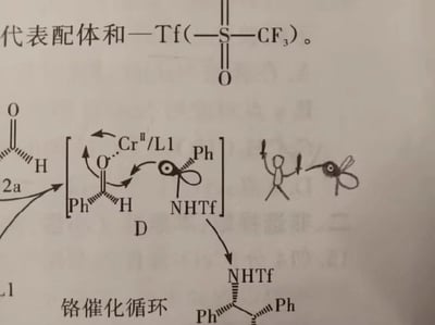这张图是印刷版有机化学反应机理图（铬催化循环）的局部，原内容标注了三氟甲磺酰基（-Tf）的结构定义，展示铬催化有机反应的催化循环过程，包含反应物、中间体、催化剂的化学结构与反应箭头。创作者在原有机理图上添加了趣味手绘涂鸦：将带有NHTf与Ph基团的反应中间体改画为一只长嘴小飞虫，又在小虫旁绘制了一个简笔小人，小人双手各举一把刀，和小飞虫摆出对峙姿态，让原本严肃专业的化学机理图变成了搞笑的玩梗内容。