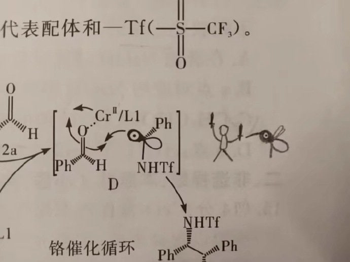 该手绘涂鸦
