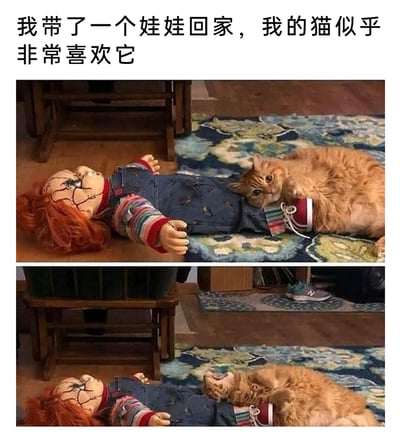 这是一组上下对比的实拍趣味图片，上方图中，主人将经典恐怖电影《鬼娃回魂》中的恰吉玩偶带回家，一只橘猫侧躺在玩偶的腿边，看起来十分亲近这个新“伙伴”；下方图中，橘猫躺在相同的位置，前肢套上了玩偶的鞋，玩偶只剩下上半身，配合图上方的配文“我带了一个娃娃回家，我的猫似乎非常喜欢它”，营造出橘猫把玩偶的腿“占为己有”的滑稽效果，利用视觉错位让画面充满趣味性，展现了宠物的调皮可爱。