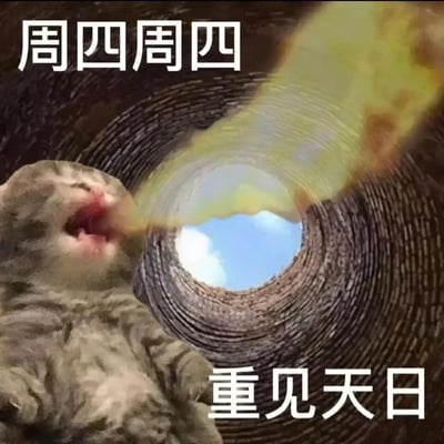 这是一张贴合打工人心态的网络梗图，画面将灰色猫咪与深洞场景合成，猫咪身处洞底，洞外露出蓝天，猫咪张嘴做出呐喊的姿态，搭配顶部“周四周四”、底部“重见天日”的文字，以拟人化的方式，精准表达了职场打工人在周四时，终于看到周末的曙光，摆脱前半周工作压抑感、重获轻松期待的心情，生动戳中一周工作周期里的职场人心态变化，容易引发打工人群体的共鸣。