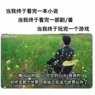图片上方文字依次为'当我终于看完一本小说'、'当我终于看完一部剧/番'、'当我终于玩完一个游戏'，中间是一名穿着西装的男子独自坐在开满小花的绿色草地上，背对着镜头，下方文字为'胸闷闷的 心空空的 人丧丧的 好怀念那个世界 我独立在这个世界以外了'。整体表达了人们在沉浸完一部作品（小说、剧集、游戏）后，从那个虚构世界脱离回到现实时产生的空虚和失落感。