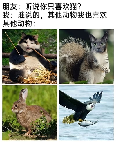 图片上方是朋友与“我”的对话，朋友问“听说你只喜欢猫？”，“我”回答“谁说的，其他动物我也喜欢”，下方标注“其他动物：”并展示四张图片。四张图片分别是：猫脸熊猫身正在吃竹子、猫脸松鼠尾站立着、猫脸兔耳的兔子、猫脸鹰身正在抓鱼。通过将猫脸与其他动物身体合成，幽默地表现出“我”虽然声称喜欢其他动物，但实际上还是只喜欢猫的反差，充满调侃和可爱的氛围。