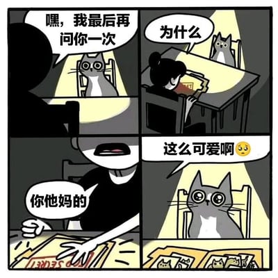四格漫画描绘了人与猫咪的趣味互动。第一格中，黑影人物对坐在椅子上、睁着圆眼的猫咪说“嘿，我最后再问你一次”；第二格切换视角，猫咪疑惑地问“为什么”，而人物正坐在书桌前看着书本；第三格人物愤怒拍桌，大喊“你他妈的”；第四格猫咪依旧无辜，配文“这么可爱啊😥”，形成反差萌笑点。