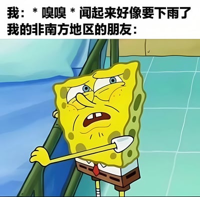 这是一张幽默对比梗图，上方文字描述"我: * 嗅嗅 * 闻起来好像要下雨了 我的非南方地区的朋友:"，下方是卡通角色海绵宝宝扶着梯子、眉头紧锁、一脸困惑的表情。图片通过夸张的对比，幽默地表现了南方人能通过气味感知下雨，而非南方朋友对此感到不可思议的有趣现象。
