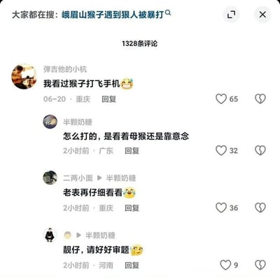 社交媒体平台热门话题“峨眉山猴子遇到狠人被暴打”的评论区截图，显示共有1328条评论。截图中包含四条用户评论，分别来自“弹吉他的小杭”“半颗奶糖”“二两小面”“靓仔”等用户，内容多为调侃和分享经历，如“我看过猴子打飞手机😂”“怎么打的，是看着母猴还是靠意念”“老表再仔细看看😂”“靓仔，请好好审题😅”，每条评论均显示发布时间、地点（如重庆、广东、河南）及点赞数（65、32、36、9）。