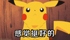 皮卡丘说'感觉挺好的'动图