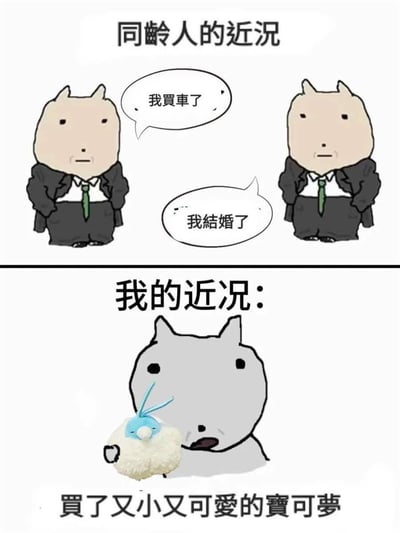 图片分为上下两部分，上方标题为'同龄人的近况'，展示两个穿着西装的卡通角色，分别说'我买车了'和'我结婚了'；下方标题为'我的近况'，展示一个灰色卡通角色手持又小又可爱的宝可梦毛绒玩具。通过对比同龄人达成的人生里程碑与自己购买小玩具的轻松选择，营造幽默自嘲的氛围。