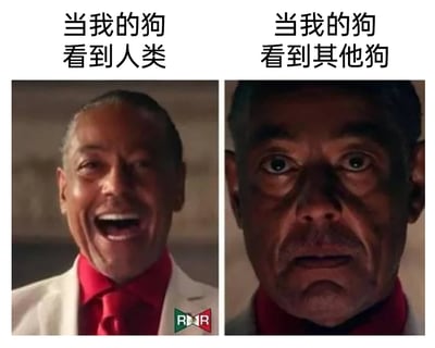 这是一张左右拼接的对比梗图，通过美剧《风骚律师》中角色古斯·弗林的两个经典反差表情，来调侃狗狗面对不同对象的截然不同反应。左侧图中，古斯穿着白色西装搭配红色衬衫领带，满脸兴奋地大张嘴巴大笑，上方配文“当我的狗看到人类”，精准还原了狗狗见到人类时热情欢快、极度兴奋的状态；右侧图中，同一个角色表情瞬间变得严肃紧绷，眼神锐利，面部肌肉紧绷，上方配文“当我的狗看到其他狗”，生动表现出狗狗见到同类时警惕、充满敌意的紧绷状态，强烈的表情反差让狗狗的“双标”行为显得格外搞笑，引发宠物主人的共鸣。