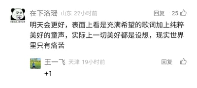 这是一张社交媒体评论区的静态截图，展示了两位网友的互动评论。来自山东的用户“在下洛瑶”使用带有“你害怕点，我不正常”文字的熊猫头搞怪表情包作为头像，发表了对经典励志歌曲《明天会更好》的消极解读，认为歌曲传递的美好只是设想，现实世界只有痛苦，该评论获得了25个点赞；19小时后，来自天津的用户“王一飞”以户外真人照片为头像，回复“+1”表示对前者观点的认同与附和。