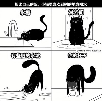 这幅四格漫画展示了一只黑猫不喜欢用自己的碗喝水，反而选择在水槽、淋浴间、脏水坑和主人的杯子里喝水的有趣场景，生动体现了猫咪的好奇心和可爱日常。
