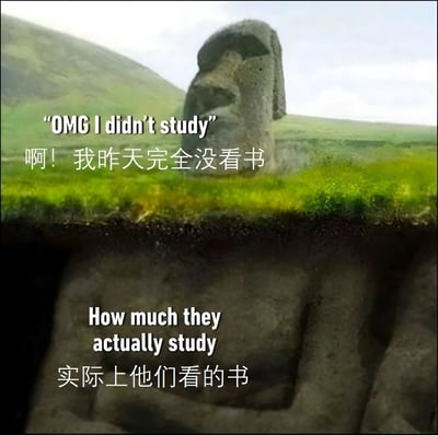 这张梗图通过复活节岛石像的上下对比，幽默展现学生常见的学习状态反差。上半部分是露出地面的石像头部，配文“OMG I didn't study 啊！我昨天完全没看书”，模拟学生考前声称没复习的慌张；下半部分展示埋在地下的完整石像身躯，配文“How much they actually study 实际上他们看的书”，暗示其实偷偷学了很多。用石像藏在地下的部分比喻学生隐藏的学习量，形成“表面摆烂实则内卷”的搞笑对比。