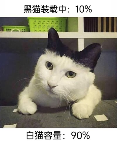 这张图展示了一只毛色特殊的奶牛猫，它的头部只有耳朵是黑色，脸部、身体其余部分均为白色。图的上方配有文字“黑猫装载中：10%”，下方配有“白猫容量：90%”，模仿软件加载进度的形式，用趣味化的文案调侃这只猫咪的毛色，将仅有的黑色毛发比作正在“加载”的黑猫，剩余的白色部分比作白猫的“容量”，营造出轻松搞笑的氛围，属于很受欢迎的萌宠趣味梗图，适合用来表达轻松、搞怪的情绪。