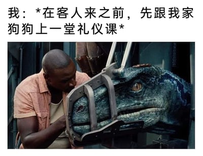 这是一张图文混排的搞笑梗图，上方配有文字“我：*在客人来之前，先跟我家狗狗上一堂礼仪课*”，下方是《侏罗纪世界》的电影截图，图中饰演欧文·格雷迪的黑人男子正凑近戴着嘴套的迅猛龙，似乎在和它进行互动引导。图中用夸张的反差制造笑点，将电影里危险凶猛的迅猛龙调侃成自己家的宠物狗狗，声称要在客人来之前给它上礼仪课，避免它吓到客人，这种把危险生物宠物化的反差感，让整个内容充满幽默效果。
