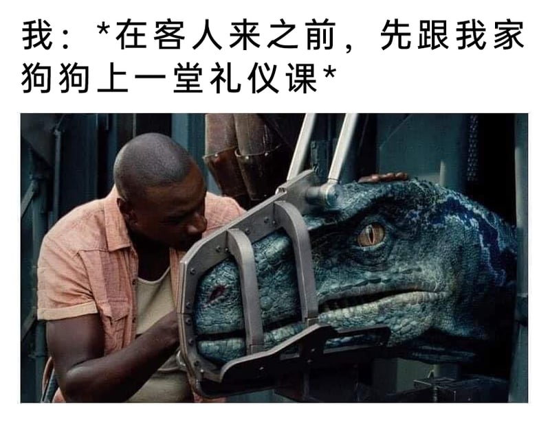 欧文·格雷迪