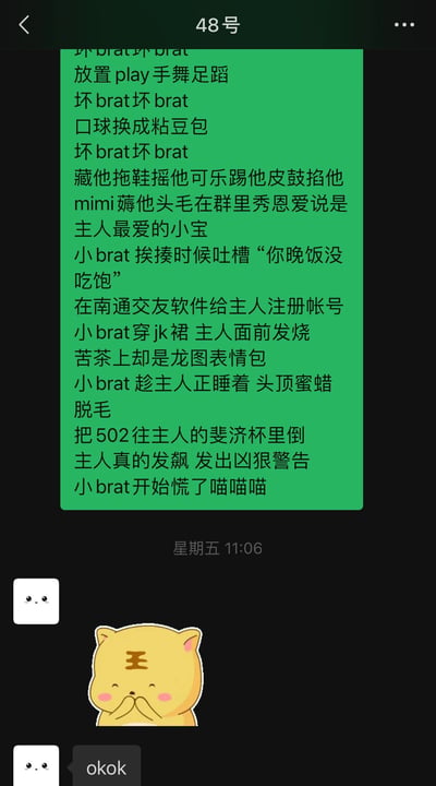 这是一张聊天记录截图，显示了一段包含多句关于“brat”的绿色背景文本，内容涉及各种俏皮和略带挑衅的行为描述。文本下方有“星期五 11:06”的时间戳，以及一个黄色猫咪表情包，猫咪额头有“王”字，表情开心。最后有“okok”的简单回复。