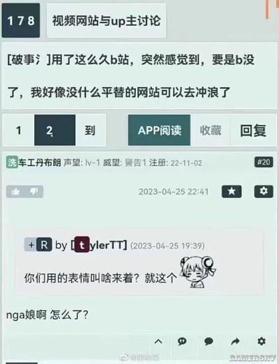这是一张NGA论坛的帖子截图，楼主以「破事氵」为前缀发帖，感慨自己长期使用B站后，若B站停运便找不到可替代的“冲浪”网站；在后续楼层中，用户「洗车工丹布朗」发出一张搞怪表情包，询问该表情的名称，其他用户回复这是NGA论坛的专属表情包「nga娘」。整个场景是论坛用户的日常闲聊，围绕对B站的使用依赖和论坛专属表情包展开，氛围轻松随意。