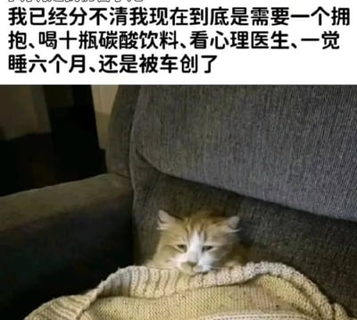 这是一张用于表达负面情绪的网络梗图，图片上方配有中文文字，内容为“我已经分不清我现在到底是需要一个拥抱、喝十瓶碳酸饮料、看心理医生、一觉睡六个月、还是被车创了”，用夸张的语气描述了人在巨大压力下身心俱疲、情绪崩溃，找不到缓解负面情绪方法的状态；图片下半部分是一只橘白相间的猫咪，窝在灰色沙发的靠垫缝隙中，身体搭在米黄色针织毛衣上，仅露出头部，猫咪双眼半睁，神情萎靡倦怠、无精打采，完美呼应了配文传递的糟糕疲惫的情绪。