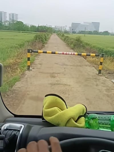 这是一张从汽车内部拍摄的实景照片，前景可见汽车的方向盘、部分仪表盘，仪表盘上放置着一块黄色擦车布和一个绿色塑料瓶，还有一只手搭在方向盘上；中景是一条乡间土路，路中间设置了黄黑相间的限高栏，栏身标注有文字“限高0.8米”；道路两侧是大片的绿色农田，远处能看到几栋高楼建筑，整体场景呈现出城郊或乡村的道路环境，视角为车辆即将驶入限高路段的驾驶视角。