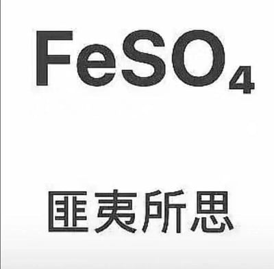 这张图展示了一个化学谐音梗，上方是化学分子式FeSO4（硫酸亚铁），下方是中文短语'匪夷所思'。两者发音相近，形成幽默效果，常用于表达对某事的惊讶或觉得不可思议的情绪。