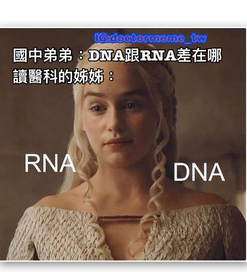 权力的游戏