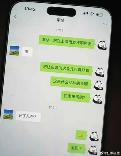 这是一张竖屏的微信聊天记录截图，对话发生在员工和李总之间：
1. 员工先关心李总在上海的出差情况，随后接连夸赞李总托付喂养的鱼好看，询问鱼的品种和购买渠道，试图营造轻松的氛围；
2. 李总没有接话，直接抛出灵魂拷问“死了几条？”；
3. 员工先发了一个跪地的表情，随后坦白“全死了”。
整个对话充满反差感，员工的铺垫和最终的结果形成强烈对比，制造出尴尬又搞笑的职场社死场景，没有双关或谐音梗。