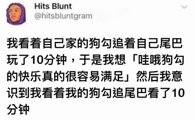 这是一张社交媒体截图，显示用户“Hits Blunt”（@hitsbluntgram）发布的内容。截图中包含一段中文文字，描述了作者观察自家狗狗追着自己尾巴玩了10分钟，起初感叹“狗勾的快乐真的很容易满足”，随后突然意识到自己也同样看了10分钟的有趣经历。整体内容通过日常生活中的小细节展现出幽默的自我反思，透露出简单快乐的生活态度。