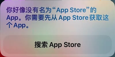 这是一张苹果iOS或iPadOS设备的系统界面截图，界面中显示了一个逻辑完全矛盾的系统错误提示：系统告知用户“你好像没有名为‘App Store’的App。你需要先从App Store获取这个App。”，同时在下方提供了一个“搜索App Store”的按钮。这是典型的系统故障bug，形成了无法解决的死循环——用户如果真的没有App Store应用，就无法通过App Store来下载它，点击搜索按钮也没有对应的应用来执行搜索操作，这种完全不符合逻辑的提示显得十分荒谬，会让遇到该问题的用户陷入无法解决的困境。