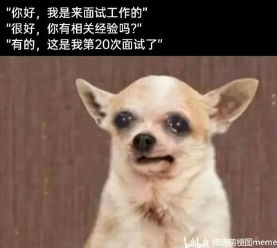 这是一张静态梗图，图中主体是一只被修改了表情的吉娃娃，它双眼含泪，嘴角下撇，露出委屈又疲惫的神情，仿佛经历了诸多挫折。图上方配有三段模拟求职面试场景的对话文字：求职者开口说道“你好，我是来面试工作的”，面试官随即询问“很好，你有相关经验吗？”，求职者则无奈地回应“有的，这是我第20次面试了”。这张图用黑色幽默的方式，讽刺了当下部分求职者多次面试仍未成功的窘迫处境，将求职者奔波面试的疲惫、屡遭挫折的心酸通过狗狗的拟人化表情具象化，精准戳中职场求职者的痛点，引发强烈共鸣。