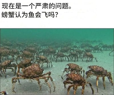 图片上方为黑色文字“现在是一个严肃的问题。螃蟹认为鱼会飞吗？”，下方是一张海底实拍图，大量螃蟹在沙质海床上爬行，形成密集的群体。整体通过拟人化的趣味提问，从螃蟹的视角调侃不同生物对“飞行”的认知差异，营造出轻松搞笑的氛围。