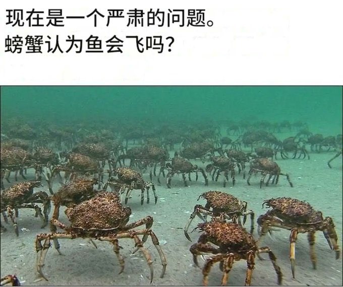 螃蟹