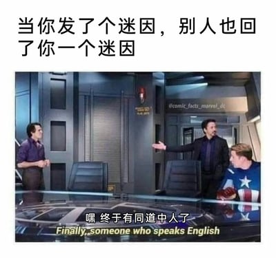 这是一张改编自漫威《复仇者联盟》系列电影场景的迷因图，顶部配文点明场景：“当你发了个迷因，别人也回了你一个迷因”。图中呈现复仇者联盟会议室的场景，左侧是惊喜的布鲁斯·班纳，中间的托尼·斯塔克伸手示意，右侧是美国队长，底部配文“嘿 终于有同道中人了”以及英文“Finally, someone who speaks English”，将用迷因交流的同好之间的共鸣，比作“听懂同一种语言”，精准表达了在社交中发梗后收到同好回应时，找到懂梗之人的强烈喜悦与共鸣感，戳中了喜欢用迷因进行社交的用户的心理。