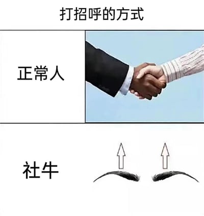 这张梗图通过左右对比的方式展示了不同人打招呼的方式。左侧标注"正常人"，配有两个人握手的图片；右侧标注"社牛"，展示了两只手做出类似击掌或热情握手的动作，上方还有两个向上的箭头和两道扬起的眉毛，暗示社牛人群更加热情、夸张的打招呼方式。