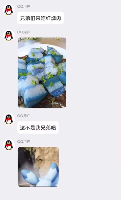这是一段QQ聊天记录截图，用户先发消息喊“兄弟们来吃红烧肉”，并附上一盘蓝白色、形似红烧肉的“菜肴”图片，随后又发消息“这不是我兄弟吧”，并放出宝可梦利欧路的尾巴特写图，揭晓所谓的“蓝色红烧肉”其实是利欧路的尾巴，利用视觉相似性制造出搞笑的错位梗，把宝可梦的部位伪装成食物，反差感拉满，充满脑洞趣味。
