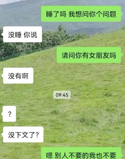 这是一张聊天记录截图类型的梗图，背景是绿色的山坡风景。图中展示了一段幽默的对话：一方询问对方是否有女朋友，在得知对方没有后却不再回复，最后解释说"别人不要的我也不要"，用意想不到的转折制造笑点。