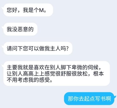 这是一张聊天对话截图，展示了一个自称'M'的人寻求主人，表达了喜欢在别人脚下卑微伺候的想法，最后被回复'那你去起点写书啊'的幽默场景。通过夸张的角色扮演请求与意想不到的回复形成搞笑对比，讽刺了某些网络小说中常见的卑微角色设定。