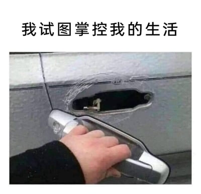这是一张充满自嘲意味的搞笑梗图，图片顶部配有文字“我试图掌控我的生活”，画面中一只手正紧紧握住一个已经从车门上完全脱离的汽车门把手，而车门上原本安装把手的位置只剩下一个空洞，车钥匙还留在锁孔中。这个画面与文字形成强烈的呼应，用这种徒劳、抓错核心的行为，生动比喻了人们在生活中想要掌控局面，却像抓着已经失去作用的把手一样，付出的努力没有实际意义，精准传递出那种努力却无法真正掌控生活的无奈与自嘲感。