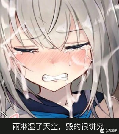 图中是一位银发动漫女孩，她双眼紧闭、眉头紧锁，紧咬着牙关，脸颊布满泪痕，神情崩溃痛苦。画面中添加的白色液体效果被刻意用来模拟雨水，配合底部配文“雨淋湿了天空，毁的很讲究”——这句出自周杰伦歌曲《给我一首歌的时间》的歌词，玩了视觉谐音的恶搞梗，将有歧义的画面效果和悲伤的歌词、崩溃的表情结合，制造出荒诞搞笑的反差感，让原本悲伤的画面充满恶搞趣味。